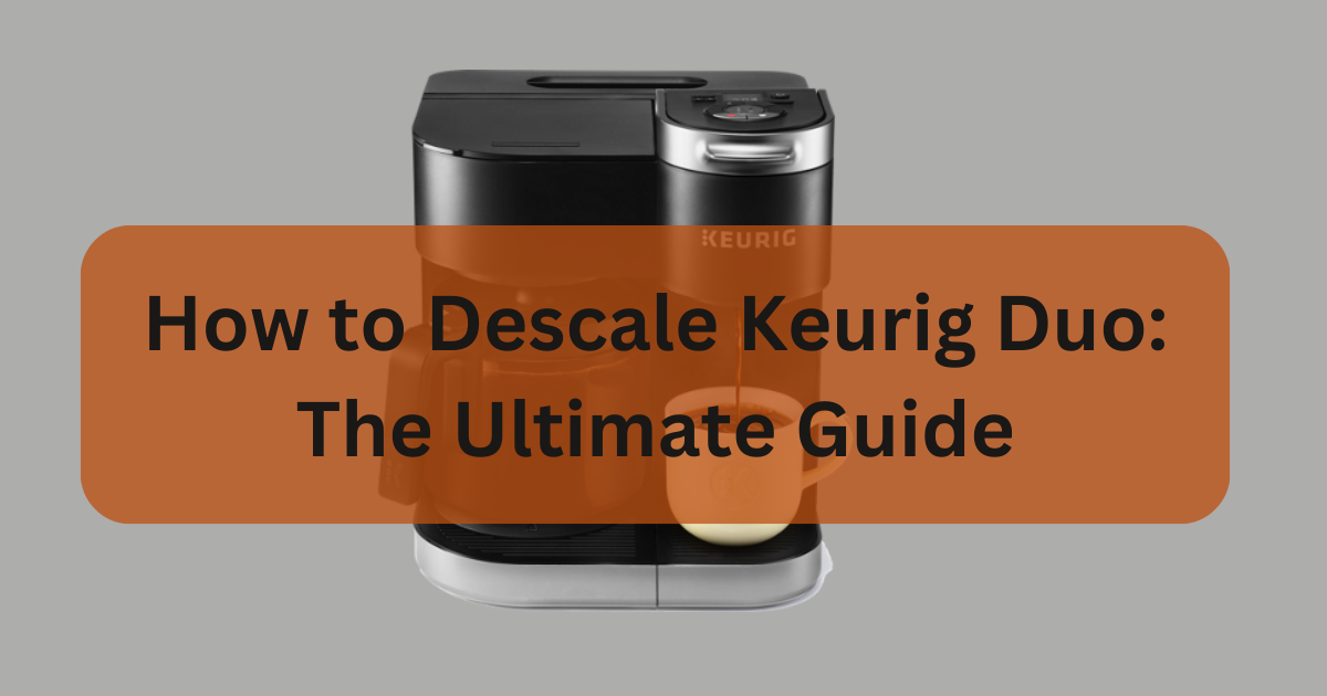 How To Descale Keurig Duo Quick Easy Descaling Methods   Add A Heading 15 