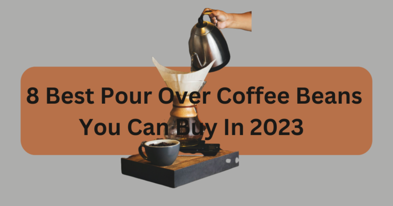 8 Best Pour Over Coffee Beans You Can Buy In 2023 
